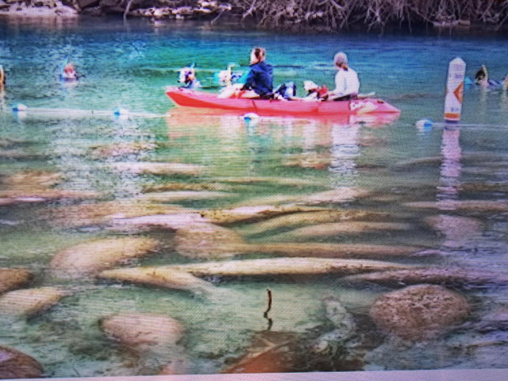 Manatee Watch Den Apartment คริสตัลริเวอร์ ภายนอก รูปภาพ